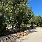 לינה וארוחת בוקר Narducci