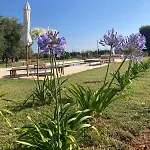 Narducci 4* מונטלבאנו