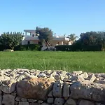 Narducci 4*