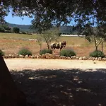 לינה וארוחת בוקר Narducci