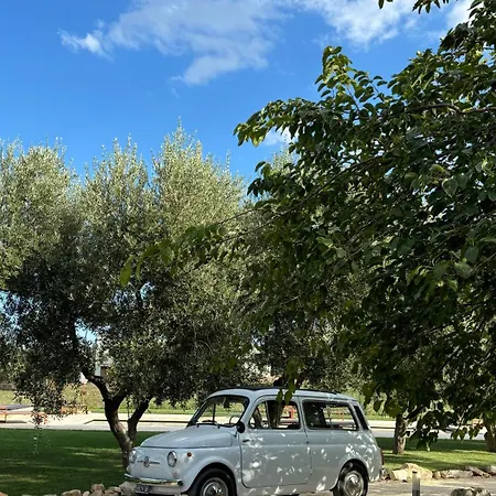 Narducci 4*