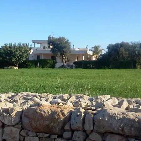 Narducci 4*
