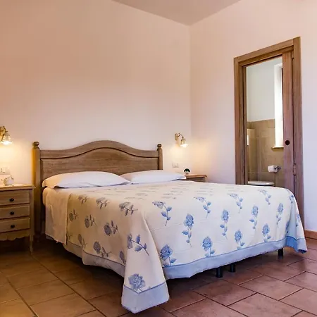Narducci 4*