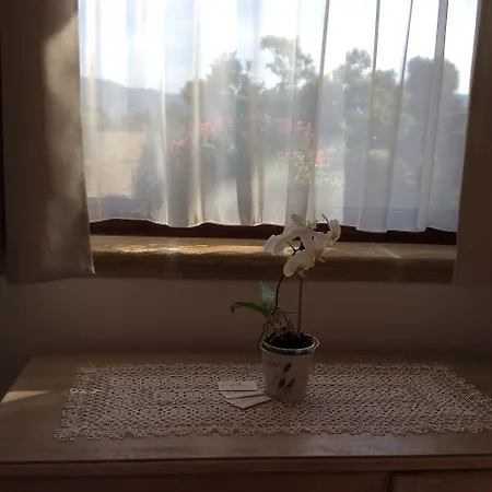 Couette-café Narducci