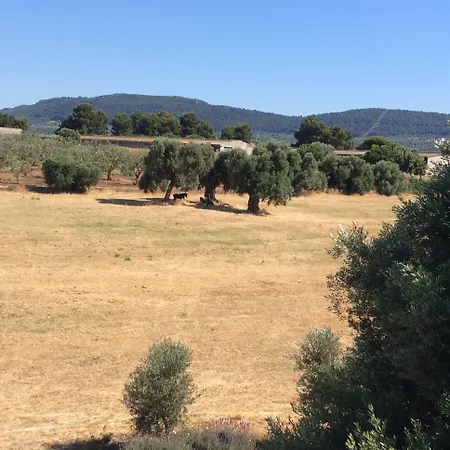 Couette-café Narducci Montalbano (Apulia)