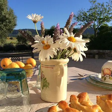 Narducci 4* Montalbano