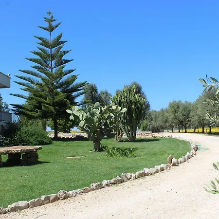 Narducci Couette-café Montalbano (Apulia)